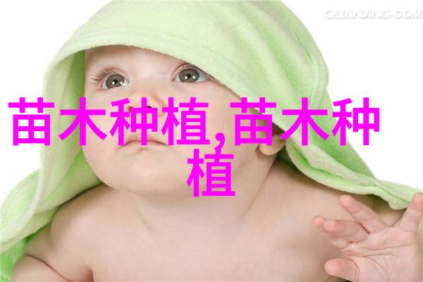 榆树芳香木囊蛾的防治方法