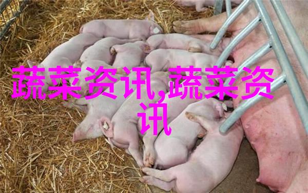 茭白虾共生模式的技术要点