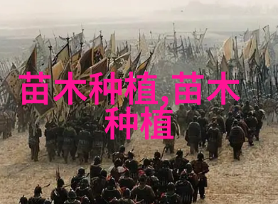 郁金香的地栽种植指南从播种到花期管理