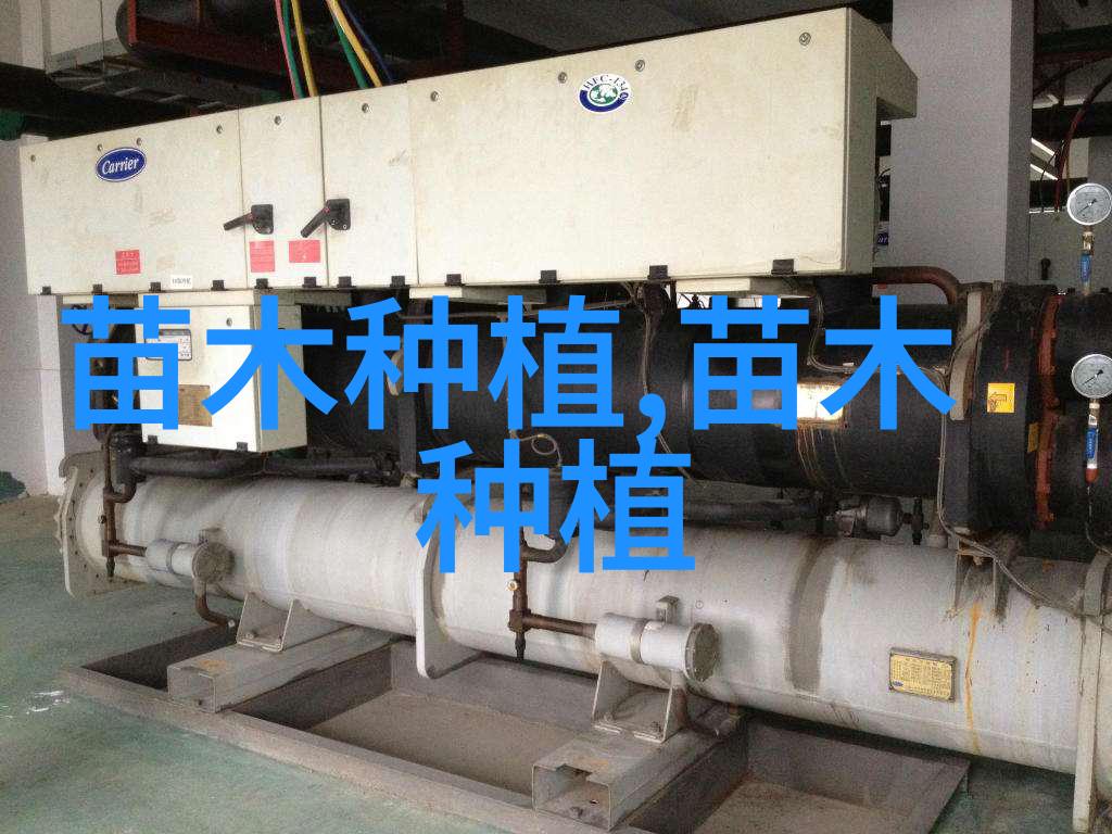揭秘苗木花卉市场临工工作与前景分析
