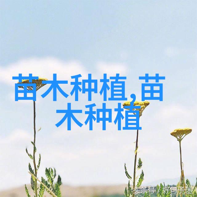 高效苗木花卉系统案例分析提升生产力与管理效能