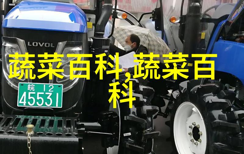 曾家山甘蓝