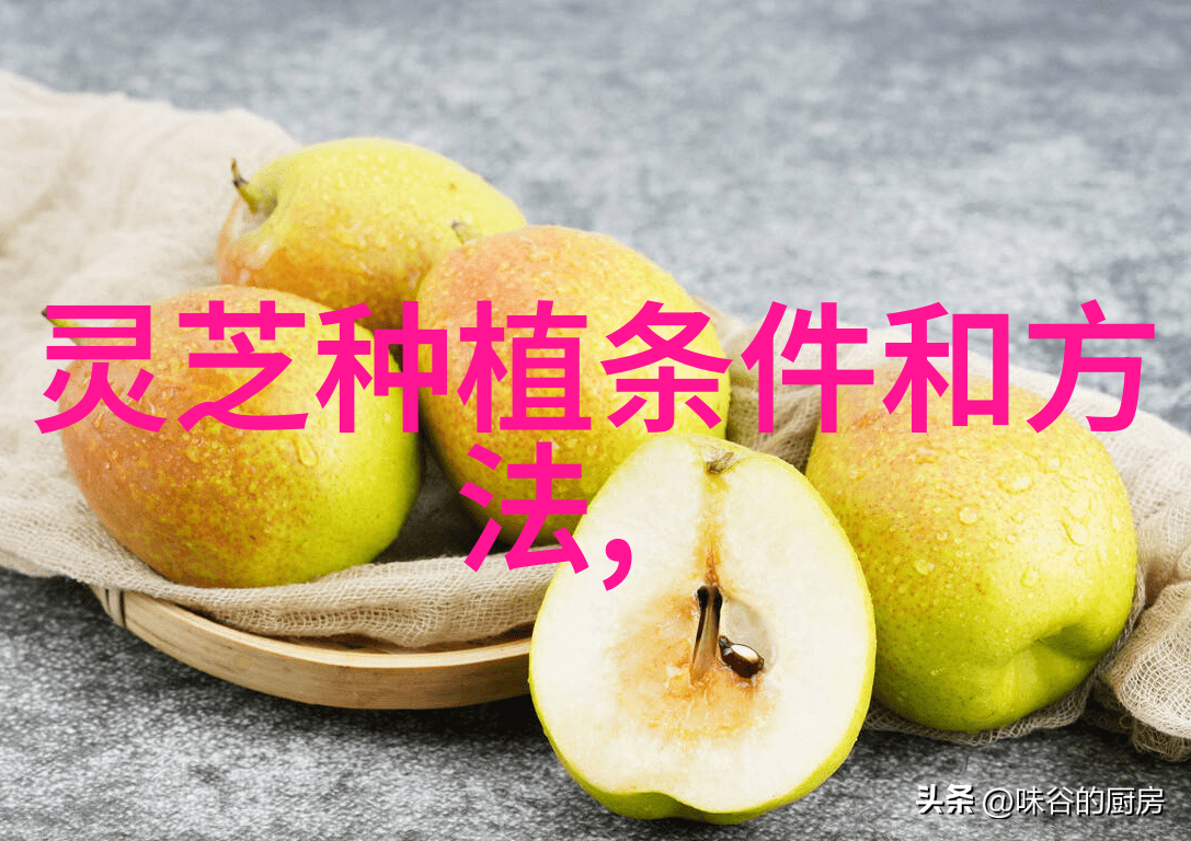 天麻的人工培育及加工