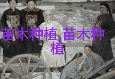 大型的侧柏树如何修剪