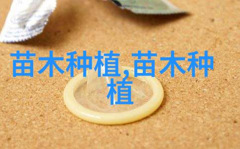 2022年有哪些热门证书可以考呢