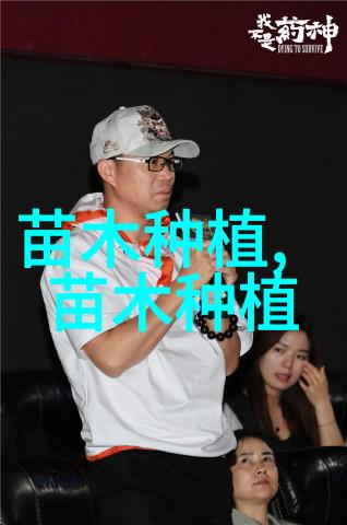 侧柏种植之种子的处理