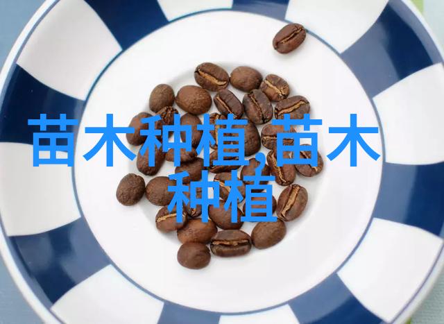 杜鹃花种植的盆栽技术