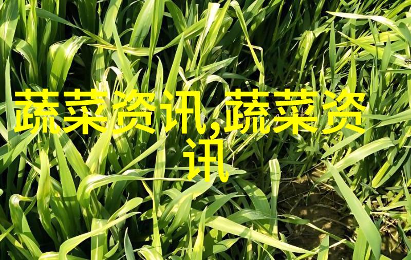 扁豆焖面