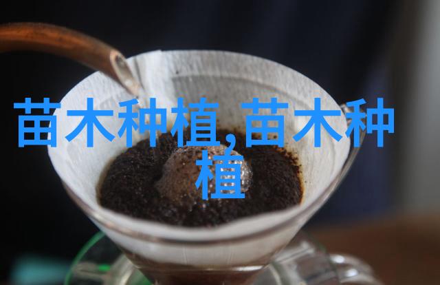 创业方案怎么做 怎么写好一遍正规的工作方案
