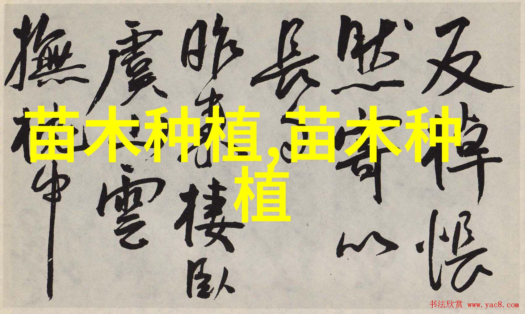 全面解读花卉苗木产业发展规划的撰写要点