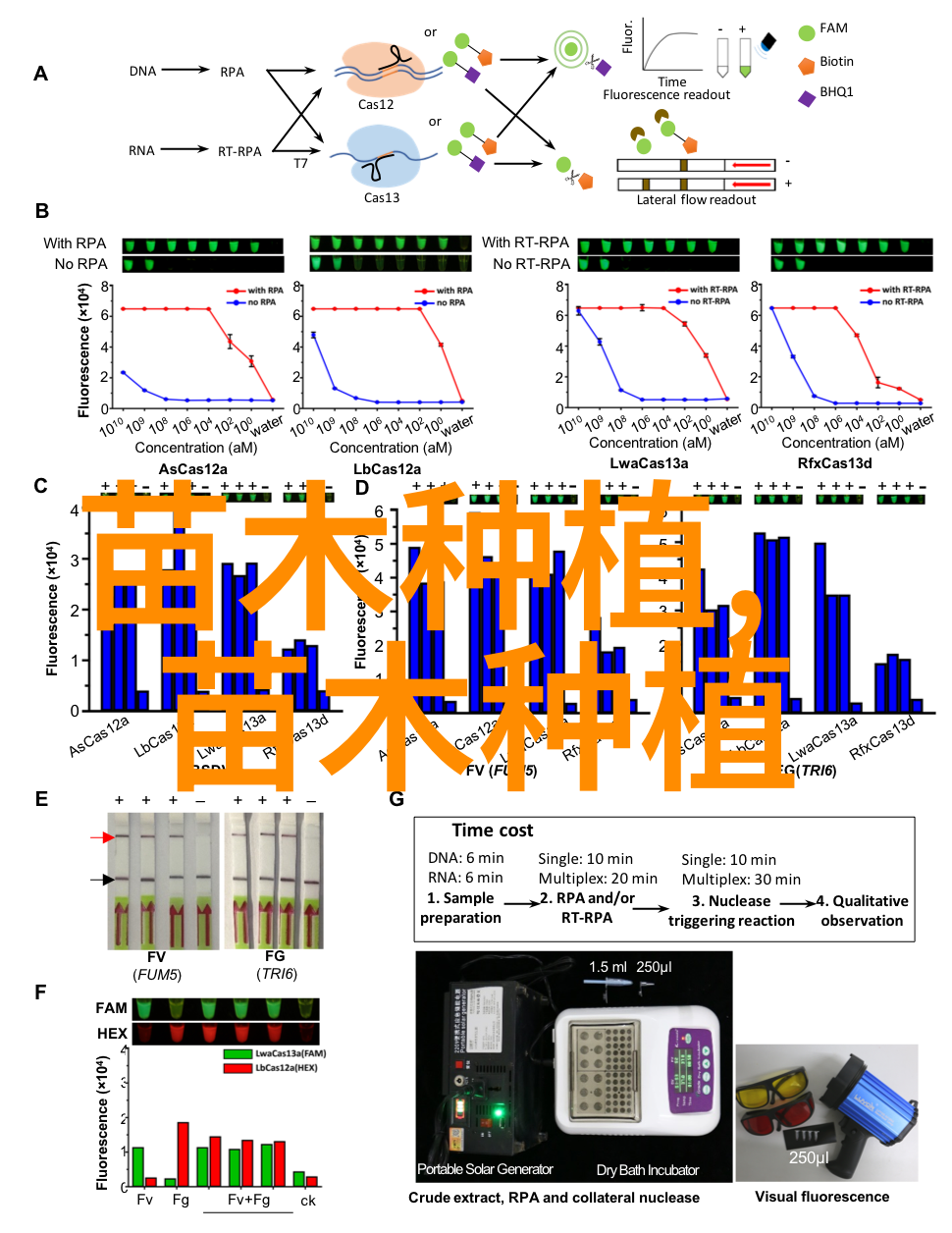 种植花卉大棚一亩估计得投资多少钱