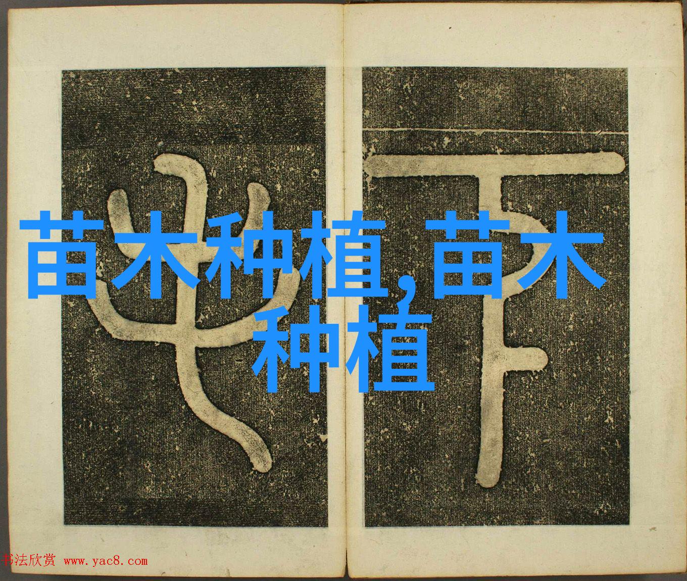 掌握花卉苗木市场细分策略的最佳指南
