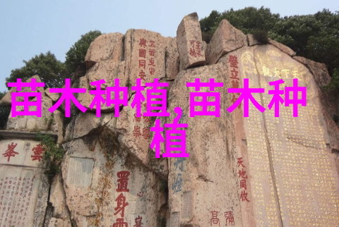 杨树烂皮病的危害及防治措施