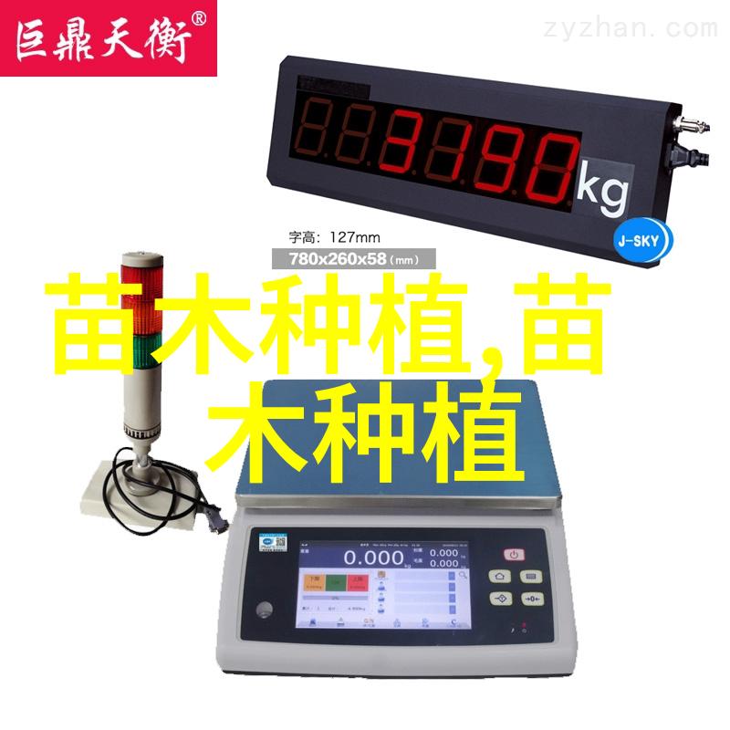 榆树烂皮病的防治