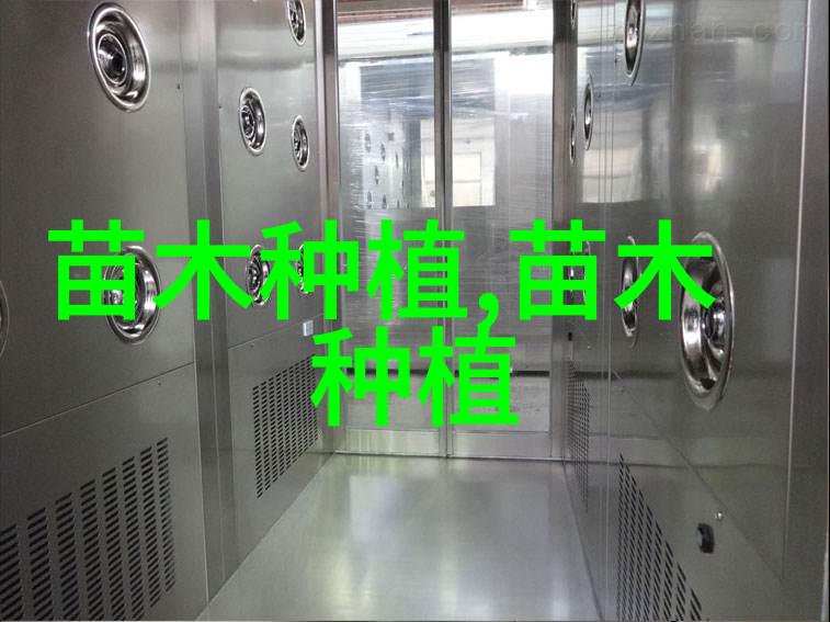 侧柏树桩盆景如何嫁接